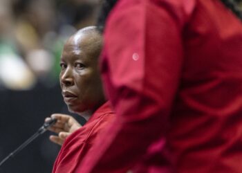 South Africa Cupboard: EFF Plans Protests In opposition to Coalition Authorities