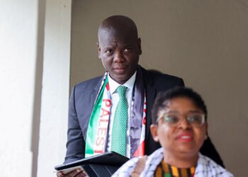 South Africa has a brand new prime diplomat. What does that imply for Palestine? | Politics Information