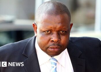 John Hlophe: Impeached S Africa choose turns into MP for Zuma’s occasion