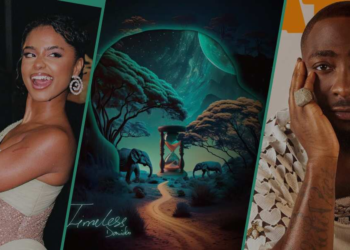 Nigerians Accuse South Africa’s Tyla of Shading Davido With Hourglass to Met Gala