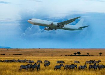 African Airways Soar to Revenue on Sturdy Journey Demand
