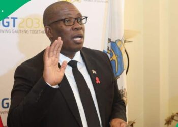 Panyaza Lesufi Desires DA Deputy Speaker To Proceed in Her Place